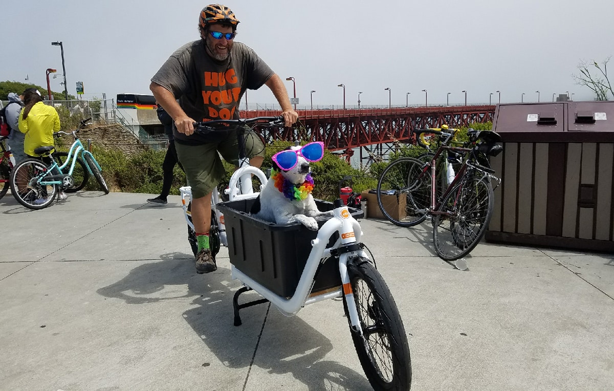 Carry dog by Supermarche cargo bike 