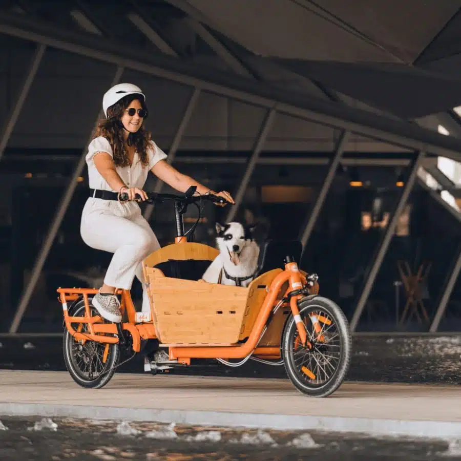 yuba bikes supercargo cl orange bamboo box