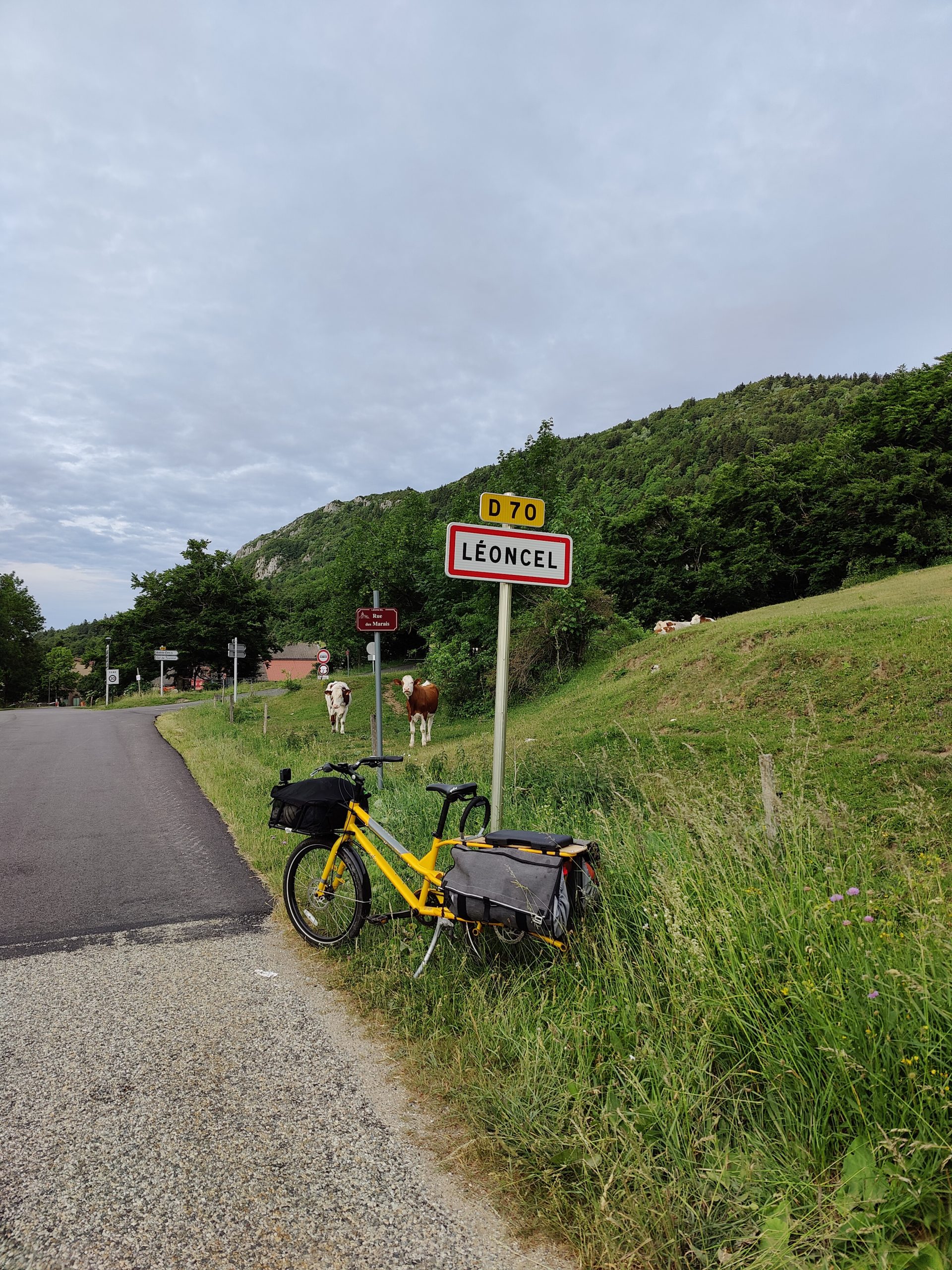 yuba bikes kombi yellow bikepacking sign