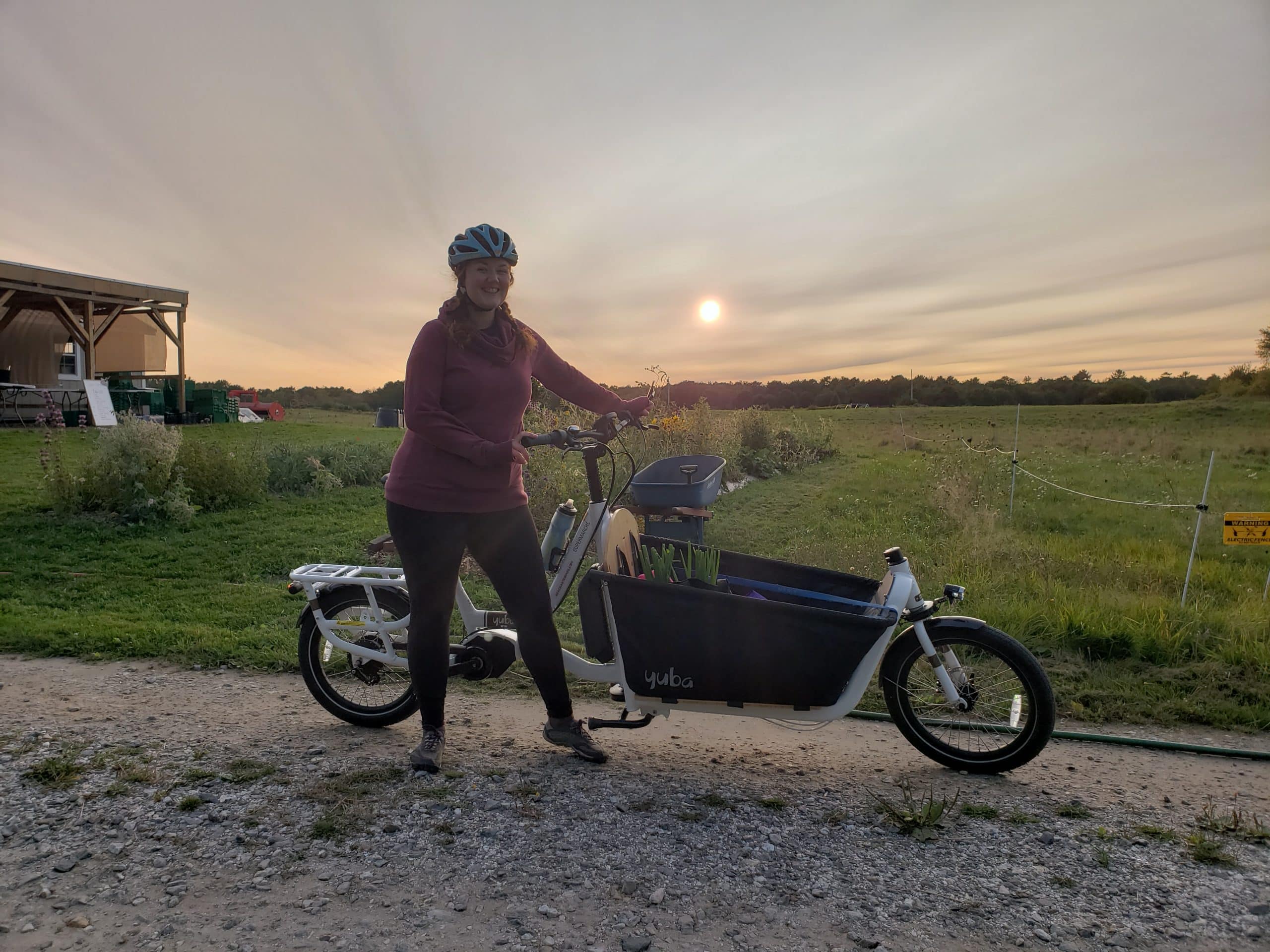 Yuba Cargo Bike Electric Supermarché Small Business